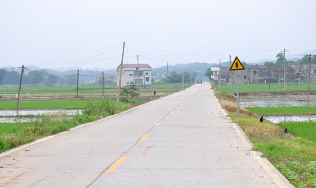 灰虞干線公路